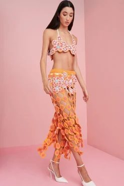 Dandelion Top><noscript><img width=